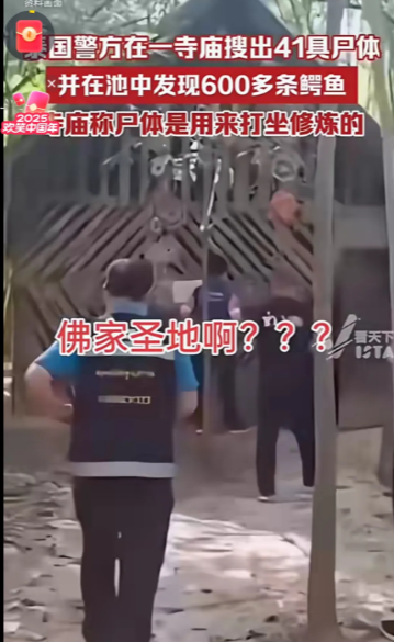 一下就发现41个尸体，600条大鳄鱼，估计也只够鳄鱼3天的饭量，30天就410人