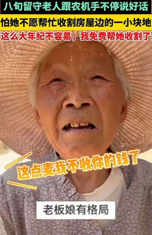 安徽，84岁老人种了一块地的麦子，地小，大收割机都不愿意去，大娘找到美女老板娘，