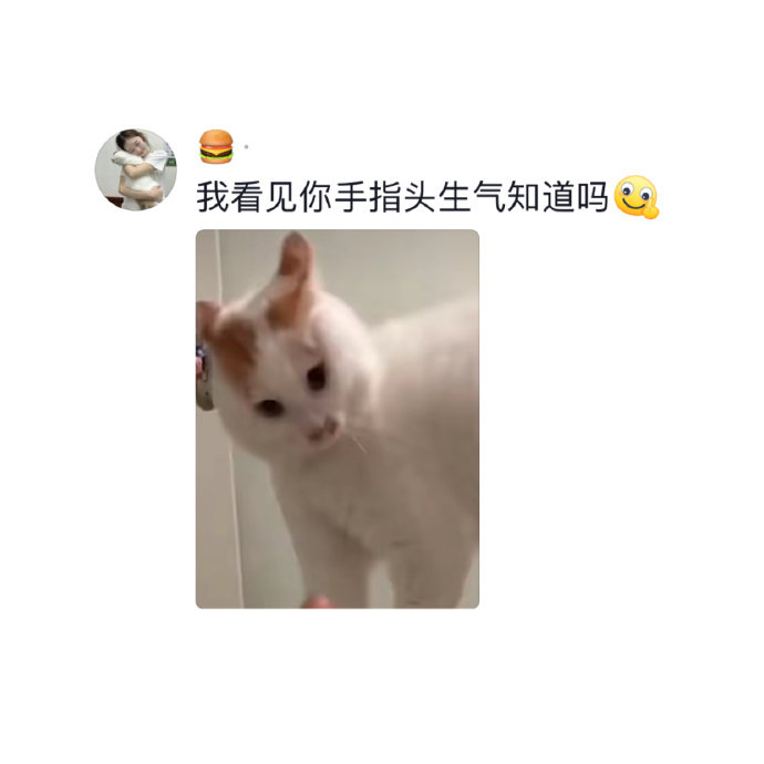 猫咪自导自演的一场动作戏