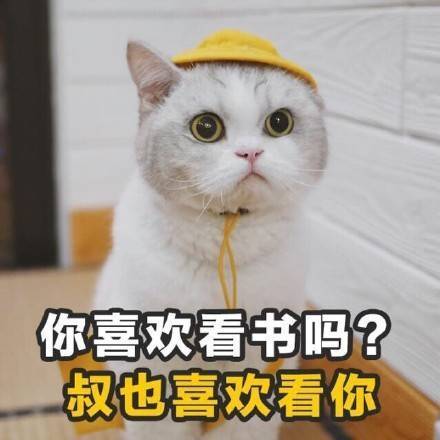 土味情话表情包，学到就是赚到