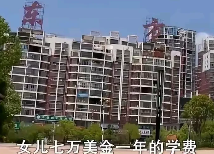 可怜天下父母心，母亲为了让女儿能在美国读大学，竟然要在网上募捐200万。因为自己