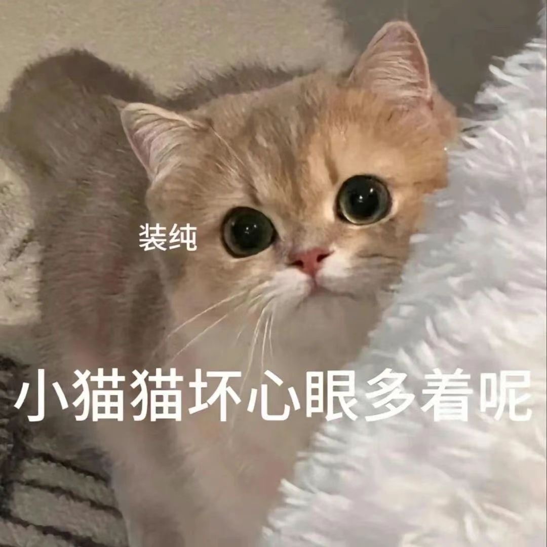 小猫猫坏心眼儿多着呢