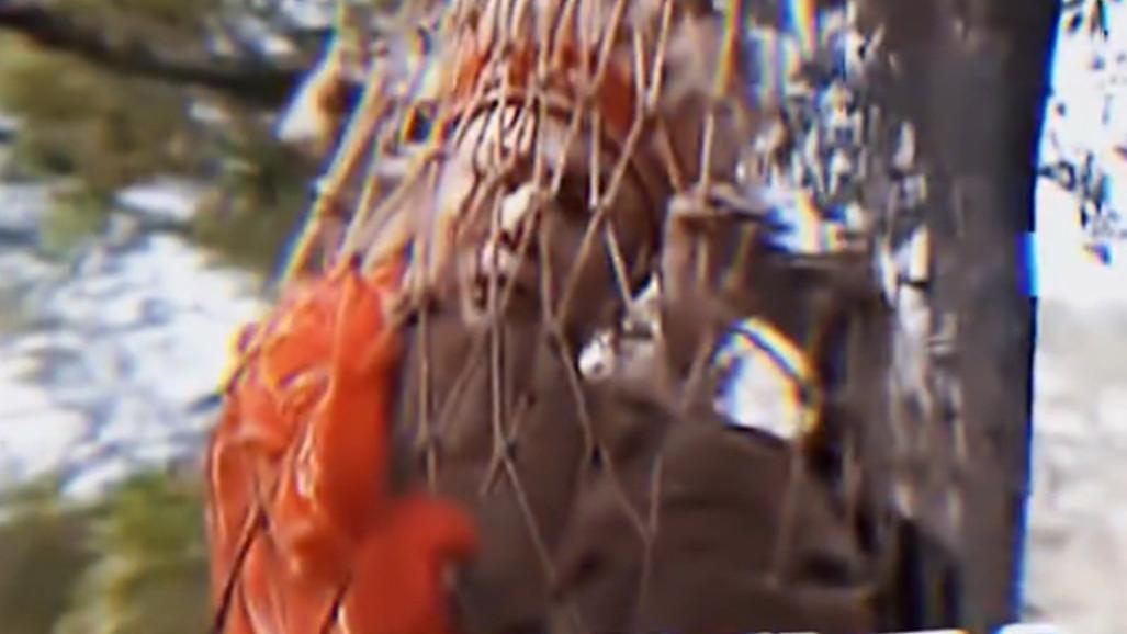 盘点那些年错过的西游记爆笑场面，小时候光看耍猴了！
