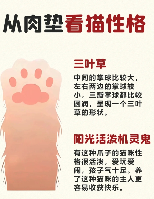 快看看你家是什么性格