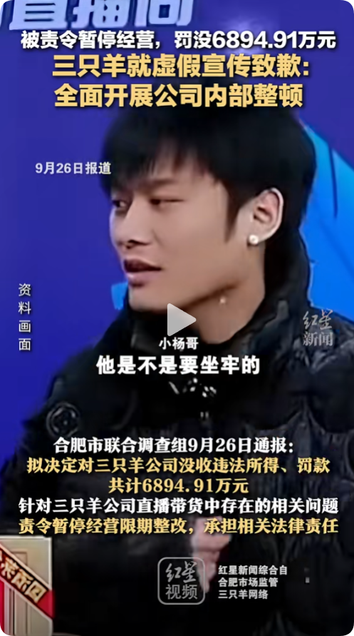 三只羊被罚款，5点没想到：