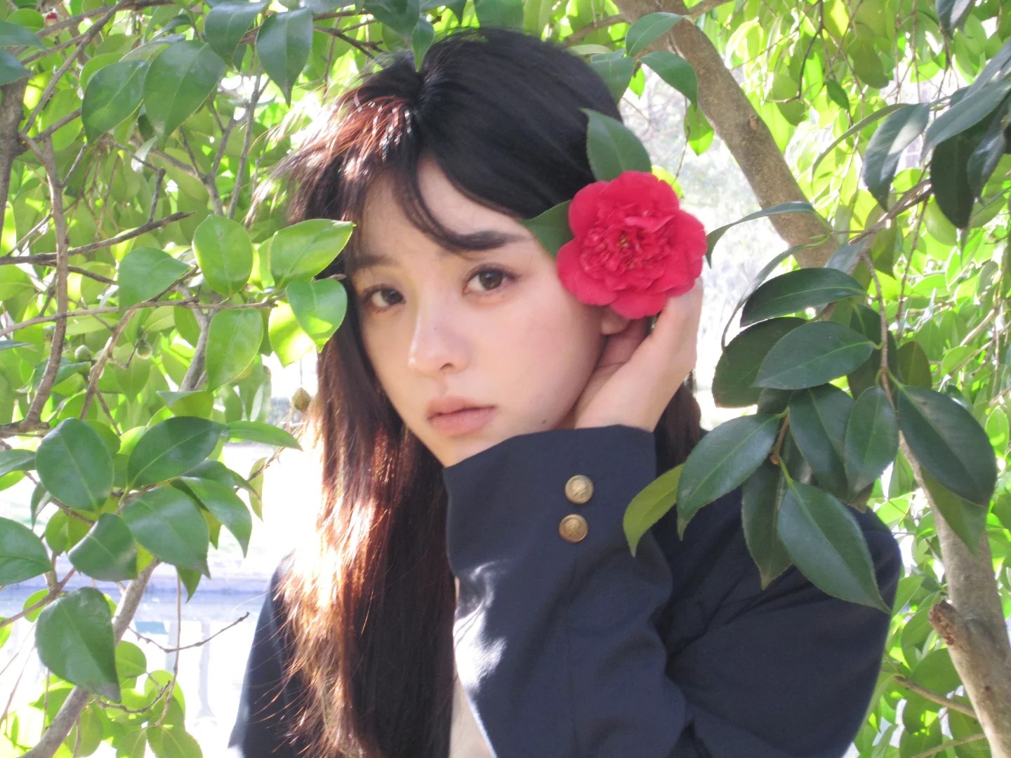 春与山茶花🌺
#透过相机与自然对话
 #山茶花 #户外 #摄影 #春天
不知不