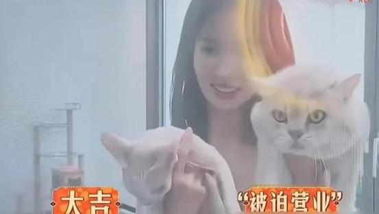 34岁金晨在北京豪宅内养鸡，阳台脏乱差，给鸡备营养餐自称妈妈