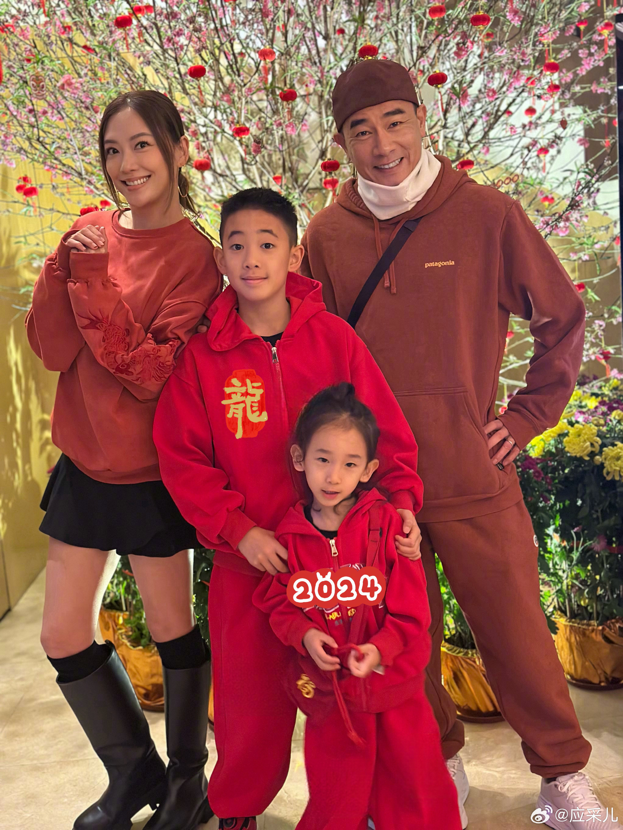 我的天呐！
真不敢相信这是应采儿的两个孩子
陈小春的基因好强大，完全看不出应采儿