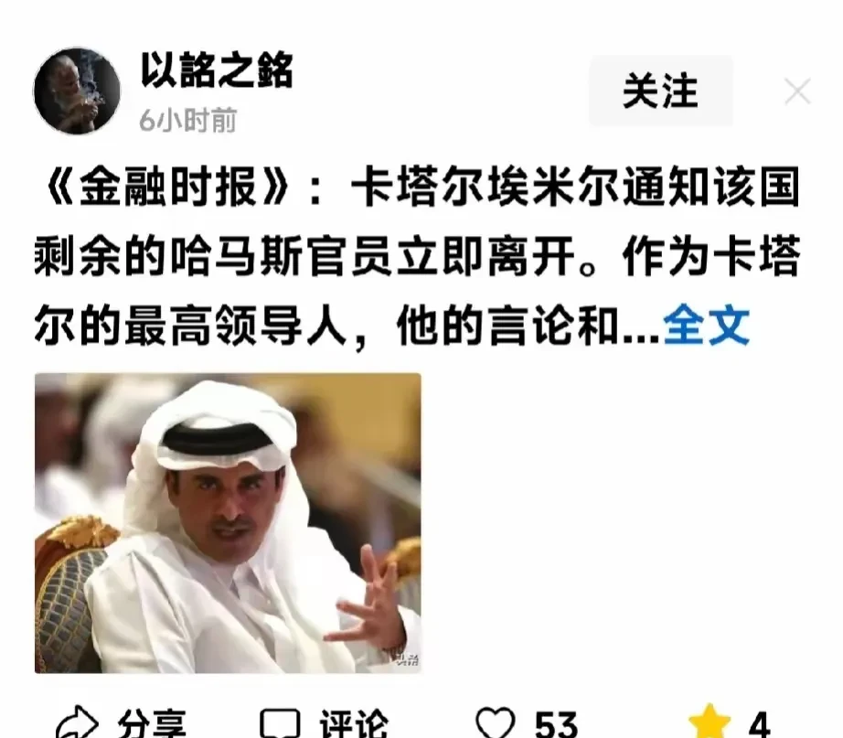 卡塔尔干得好，恐怖分子哈马斯必将恶贯满盈，毫无容身之处！只能躲回老鼠洞里