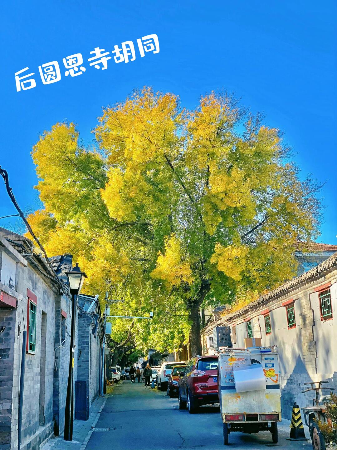 这条胡同不简单，内有蒋介石行辕、茅盾故居……