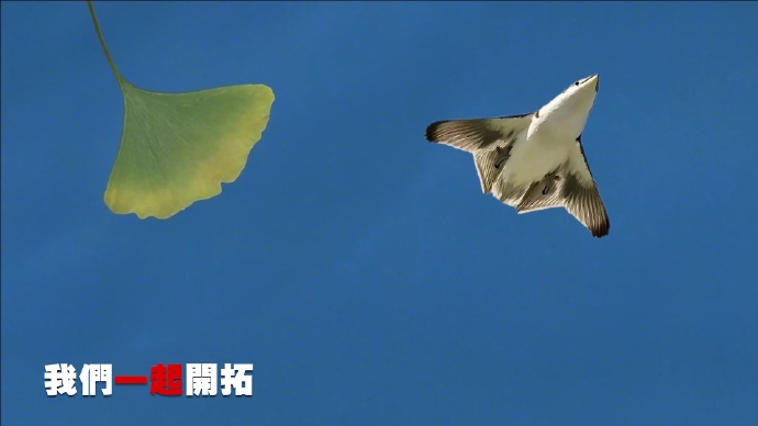 谁也不能阻挡祖国统一的历史大势！2025年第一天，东部战区发布重磅MV《中国人》