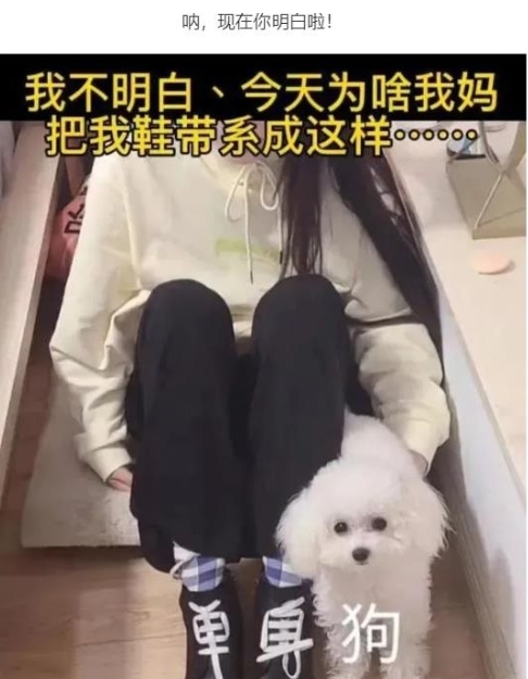 现在你明白啦