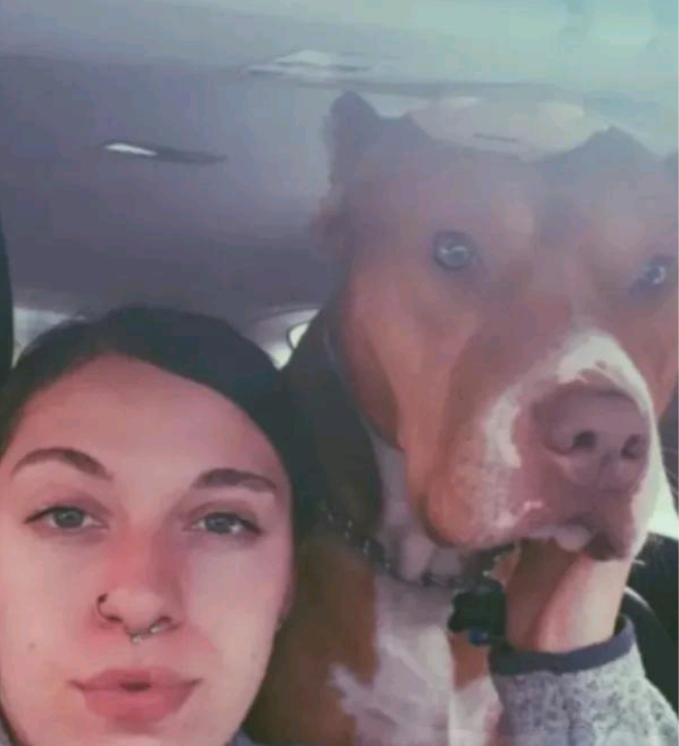 国外一女子，被自己家猎犬咬掉鼻子，移植头皮做手术后，鼻尖竟长出了头发，网友：还以