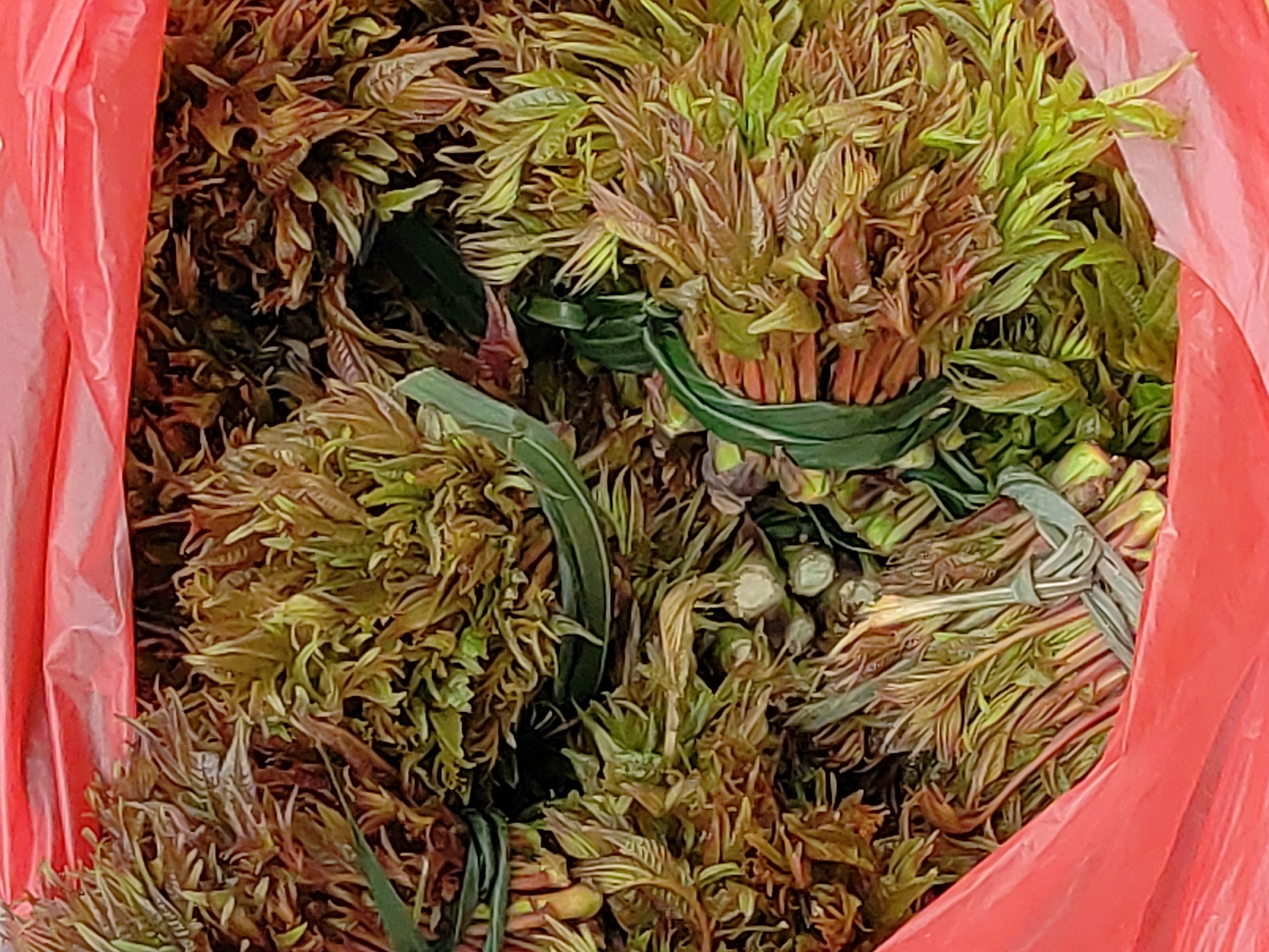 今天看到很好的自采香椿芽，这就比大城市商场里的好多了，春之味，很想再试试，看我是