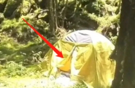 短视频博主“猛蛇过江”称，其在9月份单车挑战陕西秦岭山脉“鳌太线”时，意外地发现