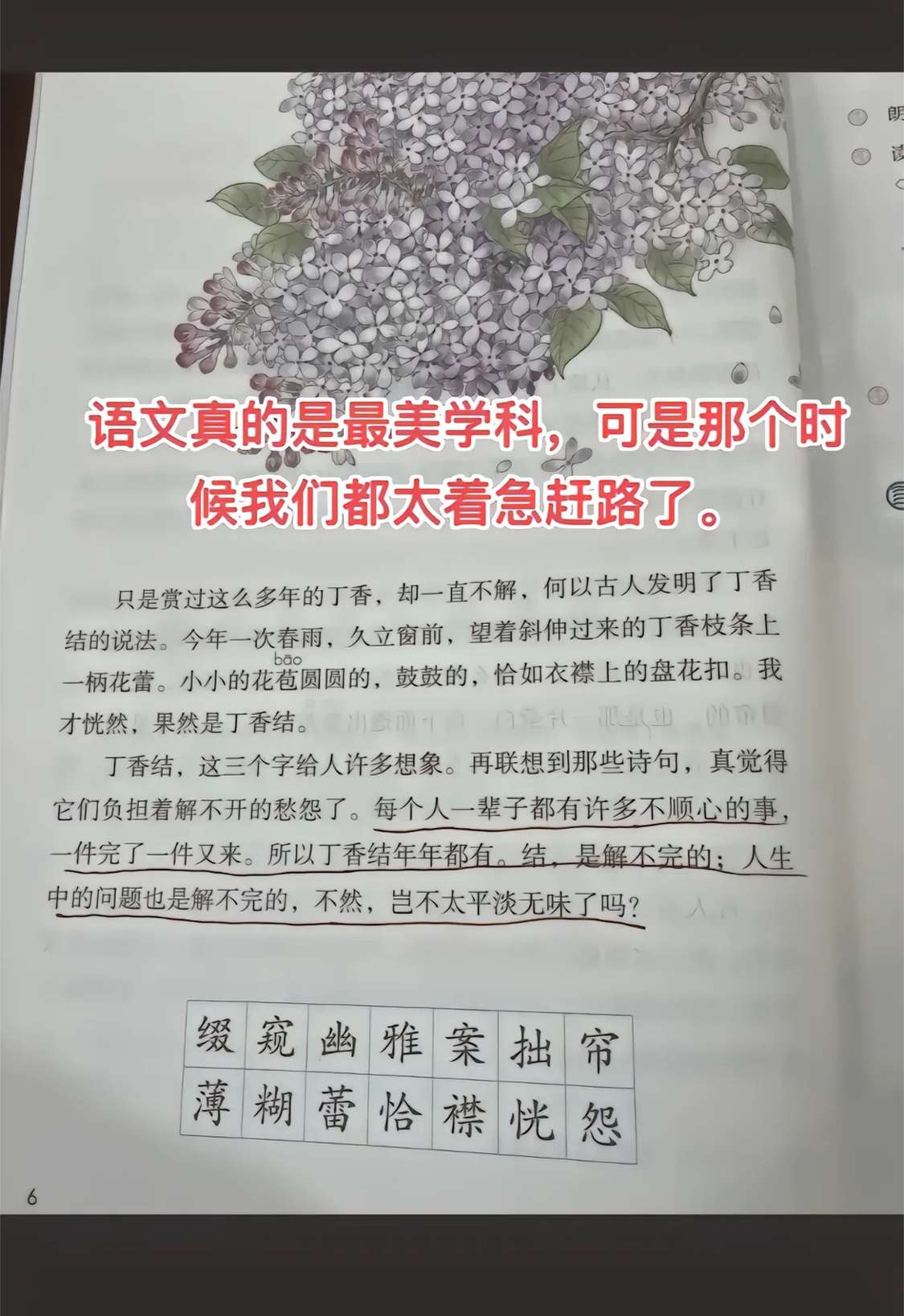 我们都太着急赶路了