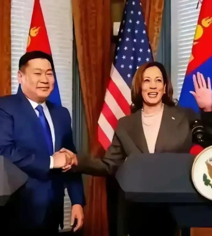 哎，蒙古国的稀土梦，一夜之间就破灭了！总理愁眉苦脸，心里那个滋味儿，别提多难受了