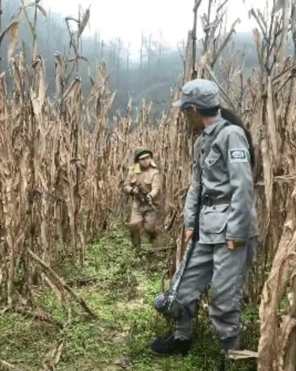 高价求剧名，我要收藏！
