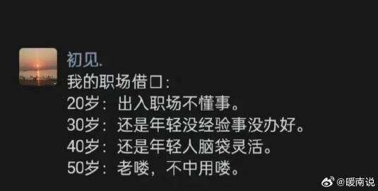 我的职场借口： ​