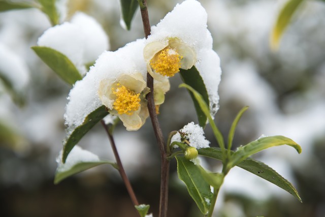 发信息试真心，秒回在乎你，珍惜对的人