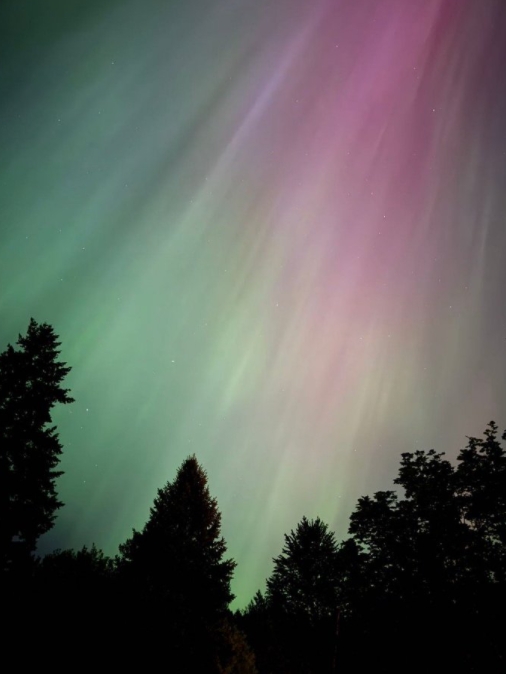 这个周末在我家门口就看到了如此美丽的极光。 ​