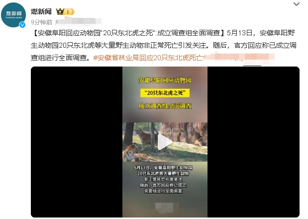 因为动物园经营权纠纷的影响，导致大量野生动物死亡，

其中包括20只东北虎、2只