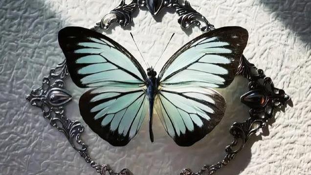 庄子用一只蝴蝶，揭示了最高级的处世智慧：看破不说破