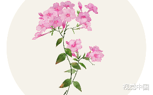 重生以后，嫡姐她死在嫡母面前