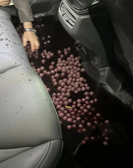 杨梅酒打翻在车里了，要怎么清洗呀？