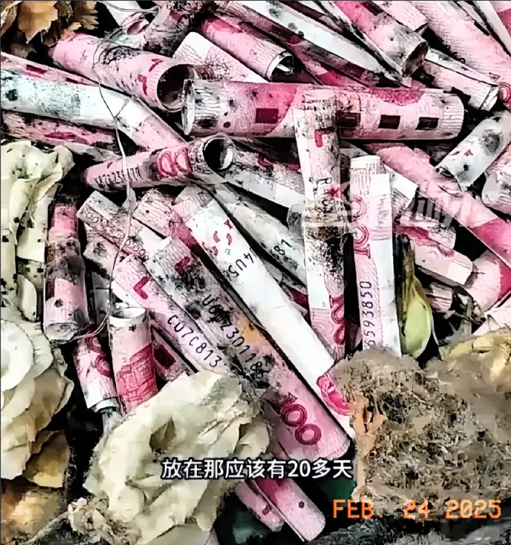 江苏一女生过生日，男友送了束用10000元人民币做的“花束”。女生收到时想必觉得