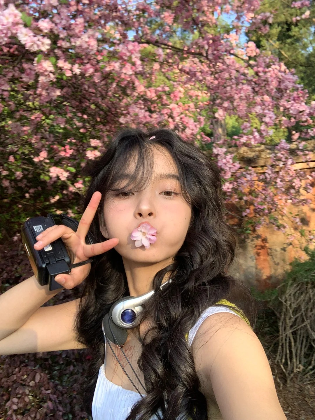 🌸 春天太美好了ᰔᩚ 🌸