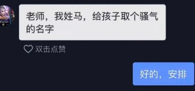 老师，我姓马，给孩子取个骚气的名字