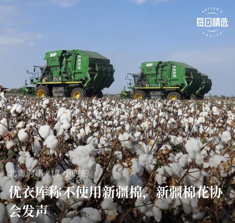 优衣库可能要破产了，如果放弃好棉花而降低档次，滋润就要完了。这样也好，中国自己的