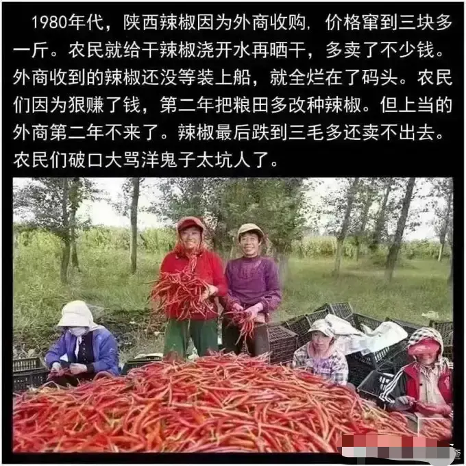 这洋鬼子也太坑人啦