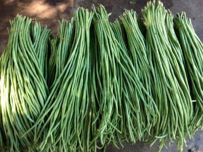豆角烧茄子

食材准备：豆角 300 克、茄子 1 个、西红柿 1 个、大蒜 2