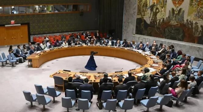 突发！非洲三国外长联名致信联合国安理会，请求审议乌克兰涉恐指控。俄杜马副主席巴巴