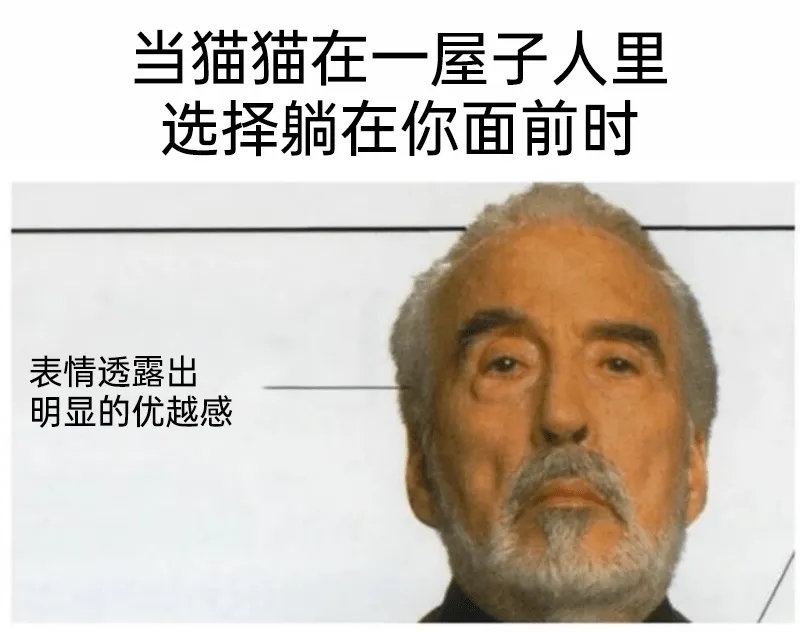 表情透露出明显的优越感