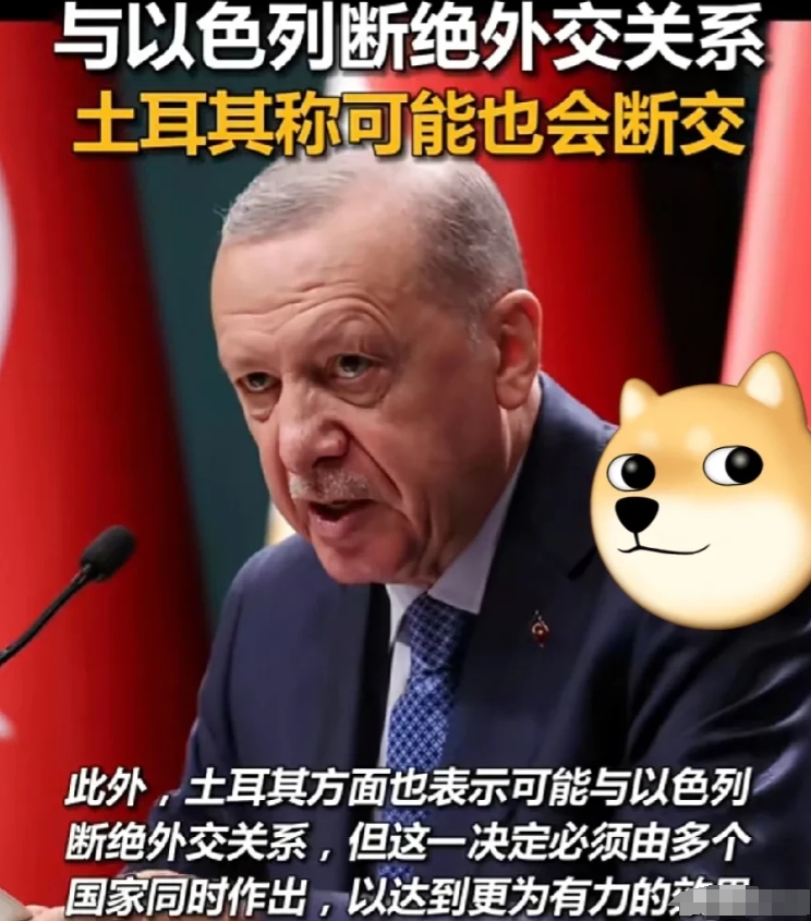 土耳其虽然没有尼加拉瓜那样纯粹了，但也是好样的！

呼吁：多国一起与以色列断绝外