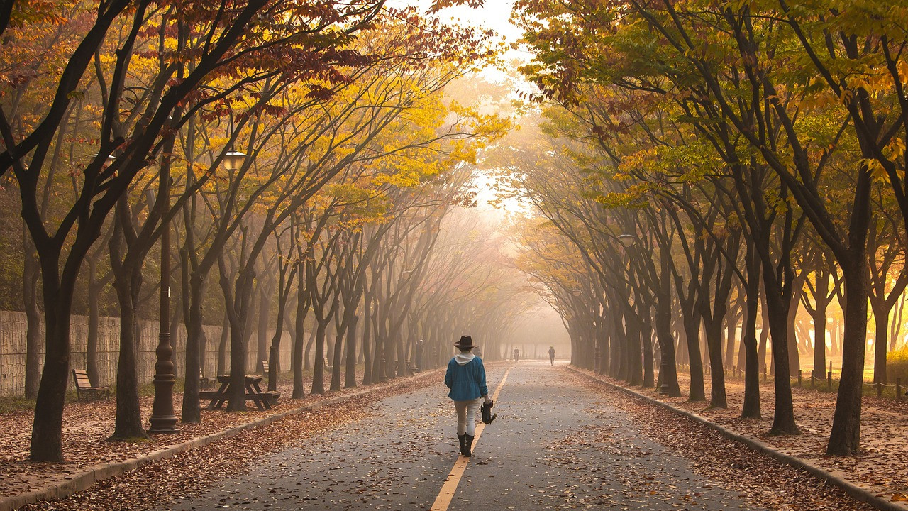 伟人能成功的关键是什么？