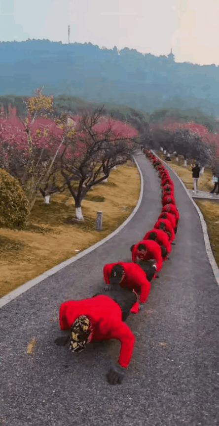 建议安排他们到农村割麦子！