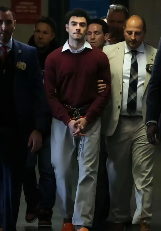 路易吉这个案子，这3个人从中受益

第一个：为他辩护的女律师

这个案子热度太高