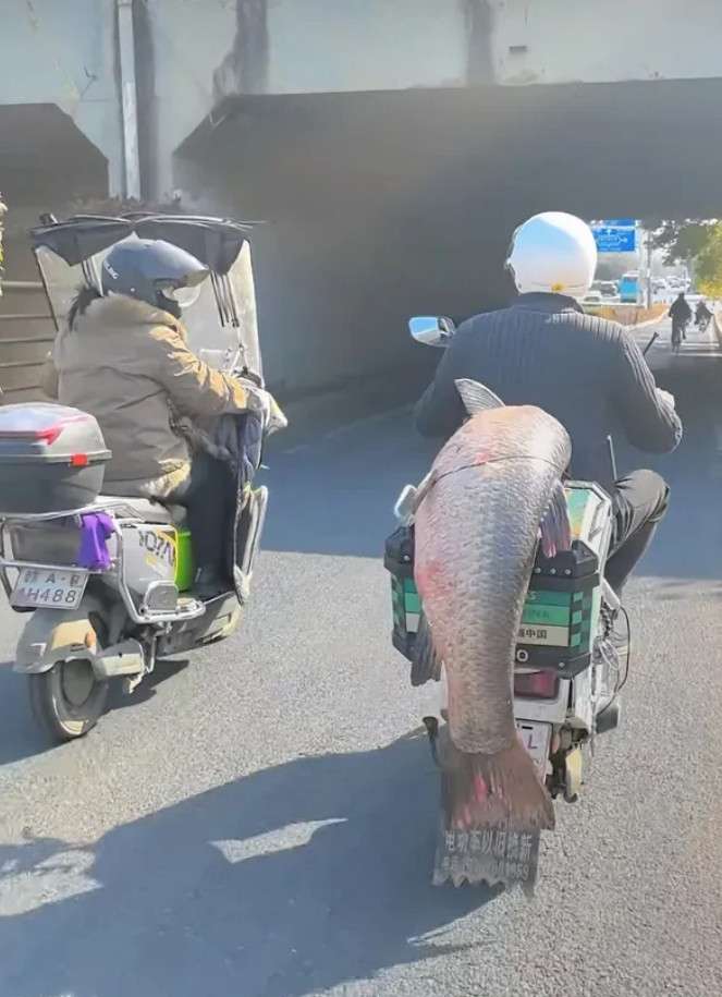电瓶还有电，还能再绕两条街……