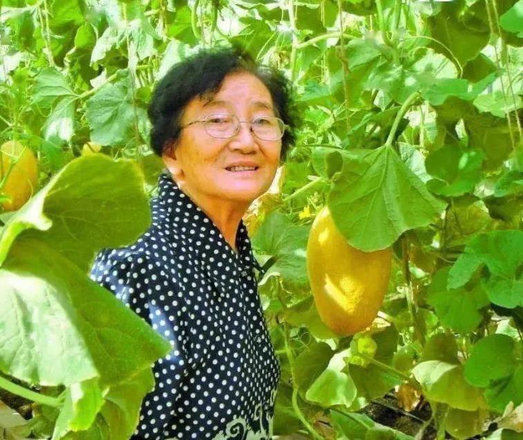 1955年，一位25岁的年轻女性毅然决然地放弃了城里的工作，不顾家人的强烈反对，
