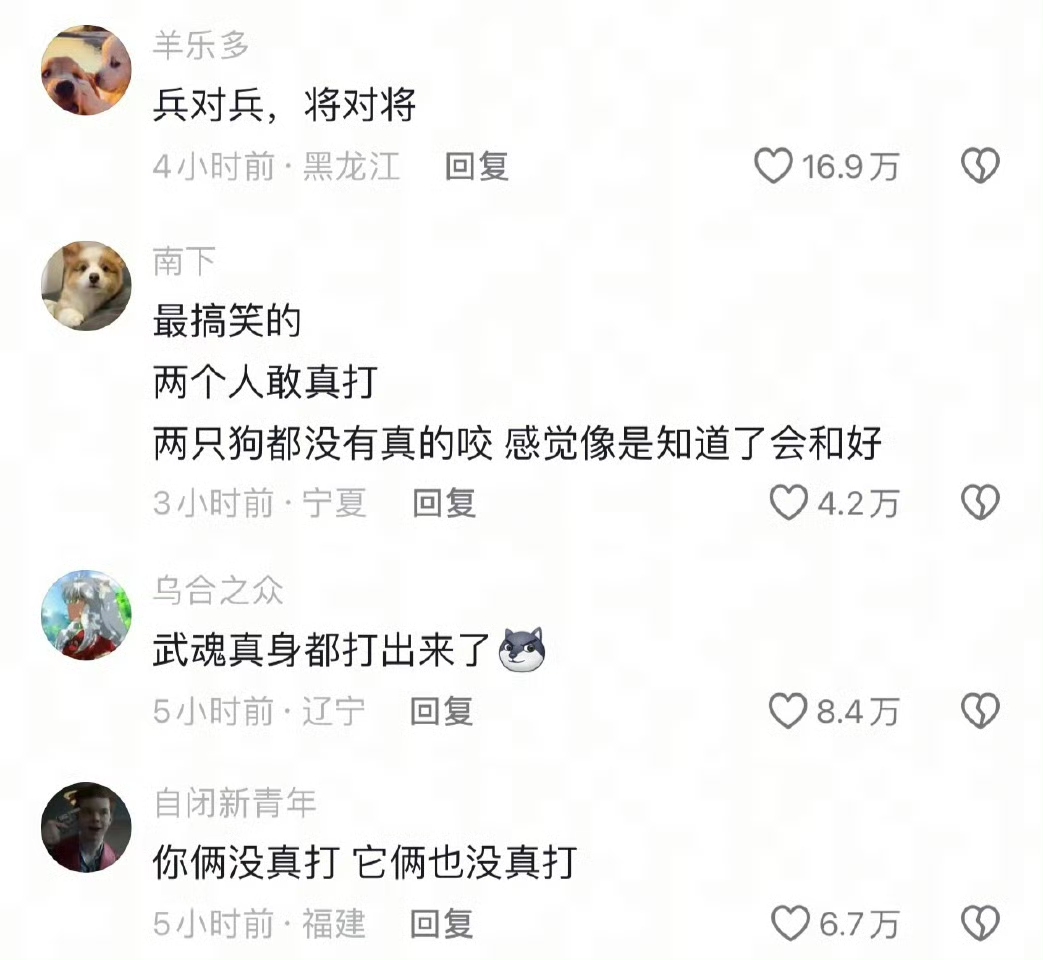 最搞笑的两个人敢真打