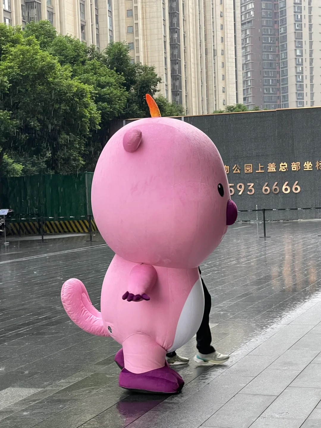 女明星loopy下雨天也要被迫上班的无奈😮‍💨
偶遇loopy真的好可爱，下