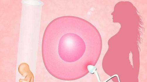 日本试管婴儿医院的费用标准对比，区域差异显著吗? -优孕行
