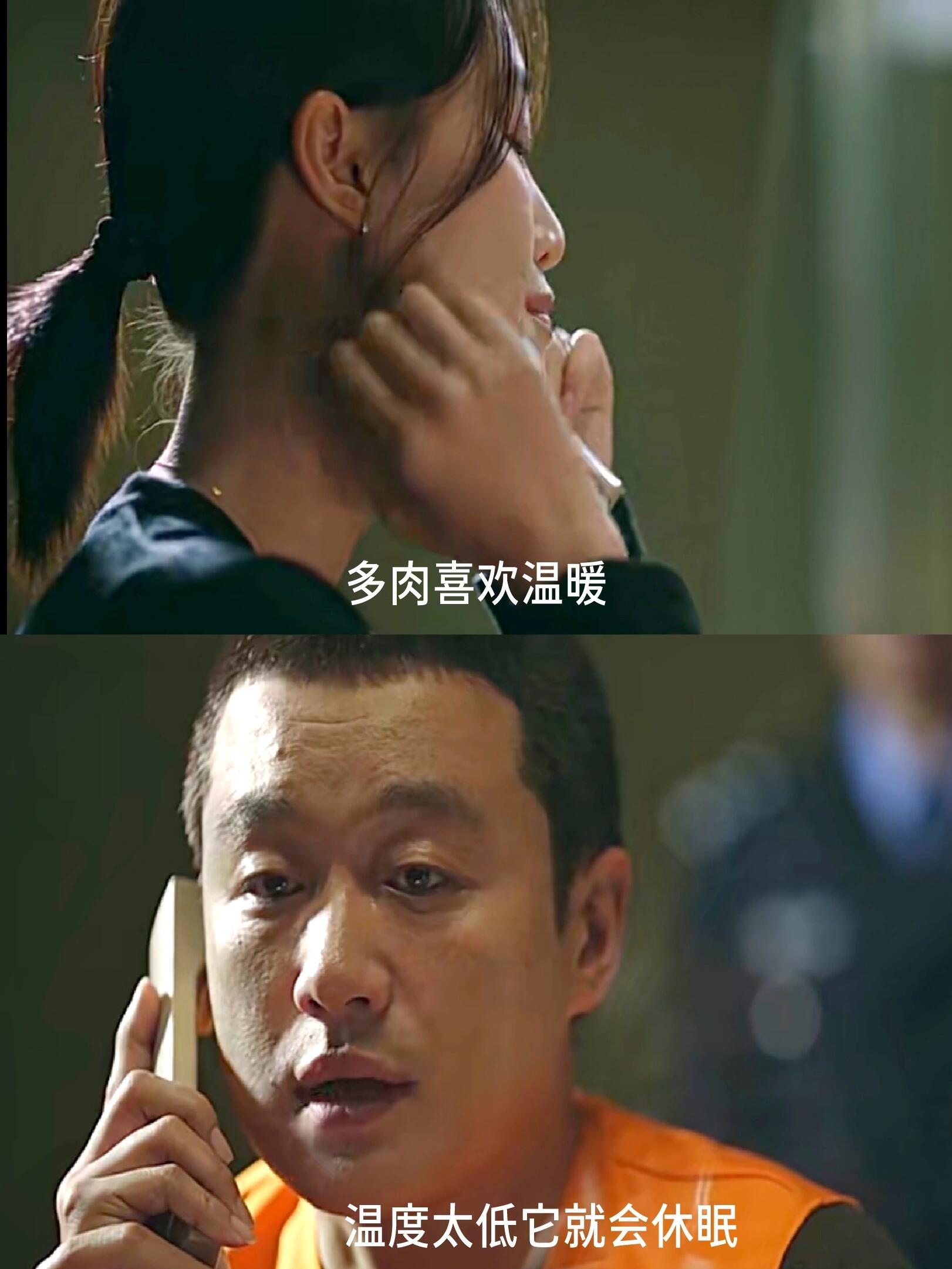 始终没懂顾己鸣这句话的意思