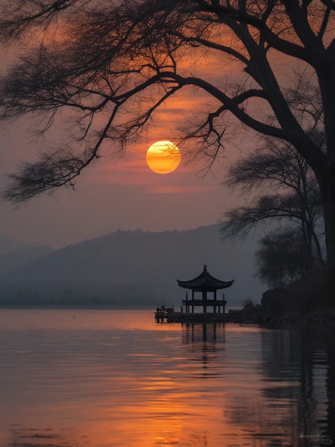 想要一个全是落日和树的评论区