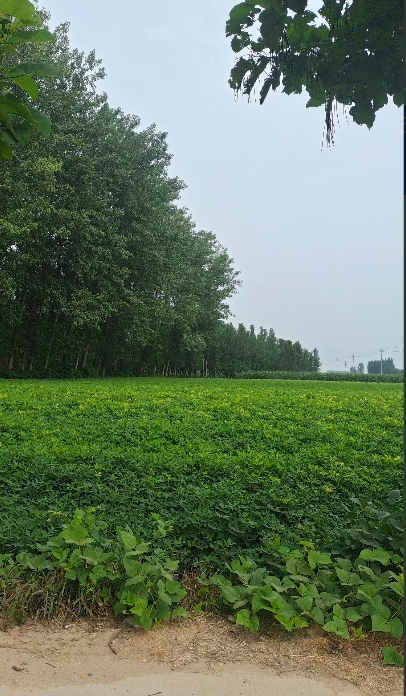 我以前一个同事，她老公出轨了，还明目张胆把三姐带回家鬼混，还刚好被我同事放在卧室