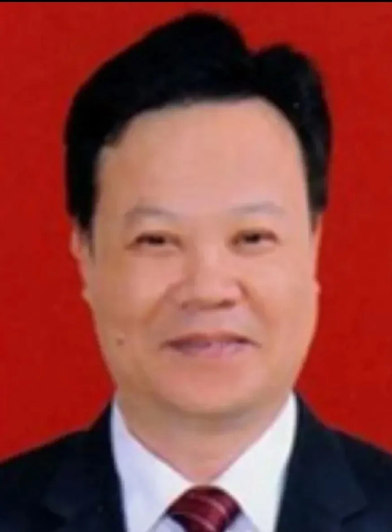 林文光，1963年生于广东汕头，初始学历和毕业院校信息没有公布，公开信息显示，林